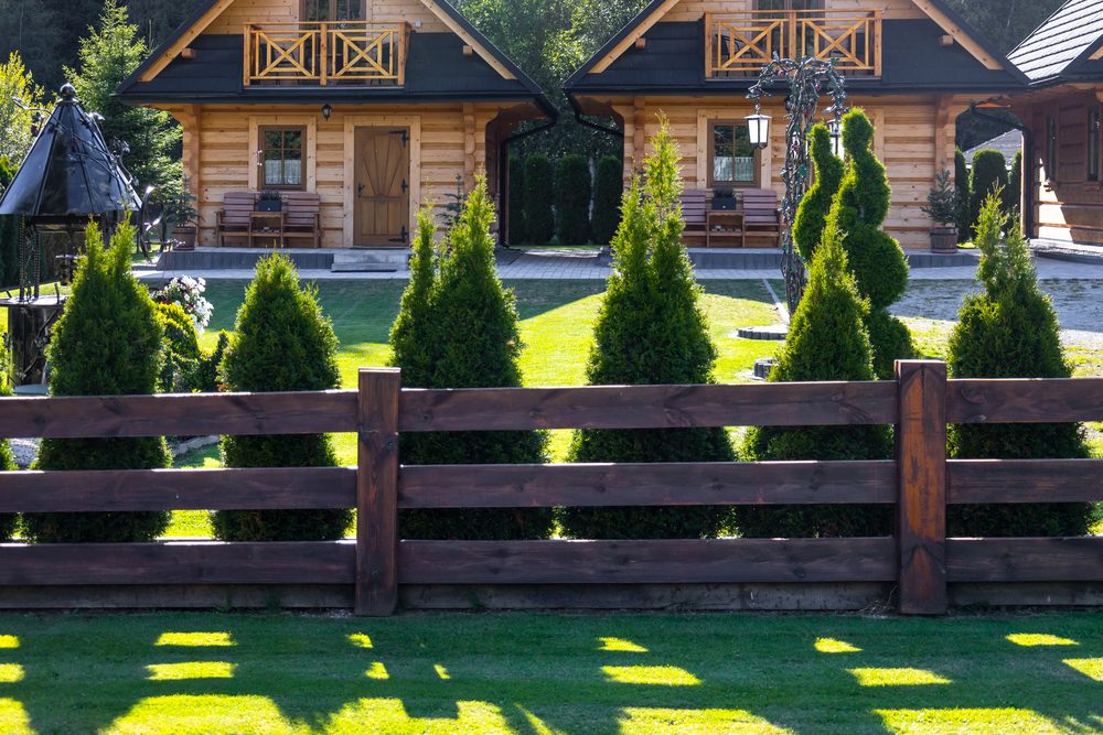 Neuer Holzzaun vor einer Thuja-Reihe